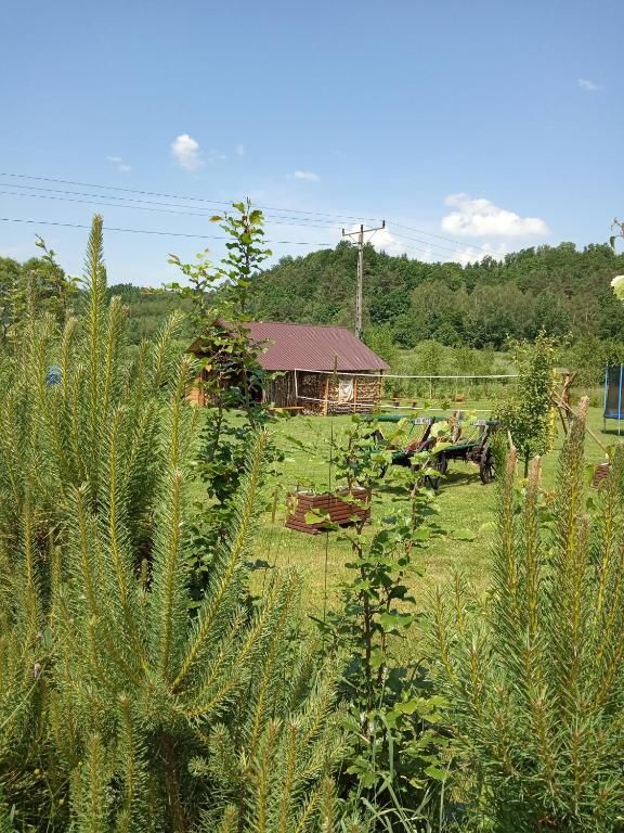 Шале Domki w Bieszczadach Солина-111