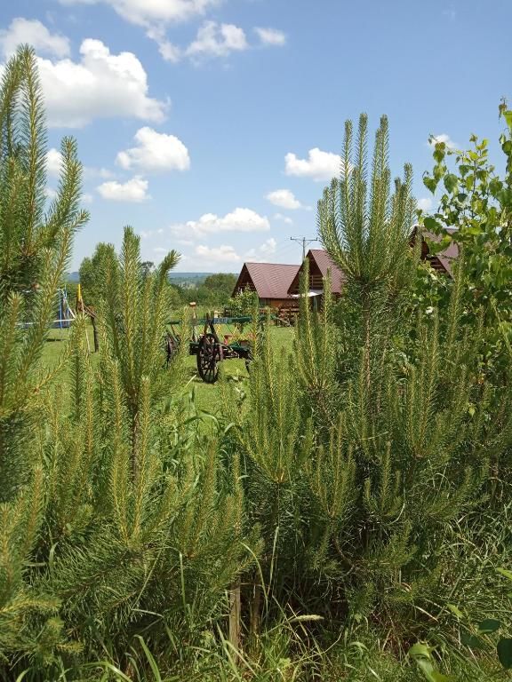 Шале Domki w Bieszczadach Солина-112