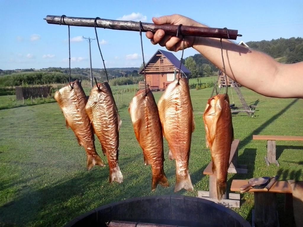 Шале Domki w Bieszczadach Солина-66