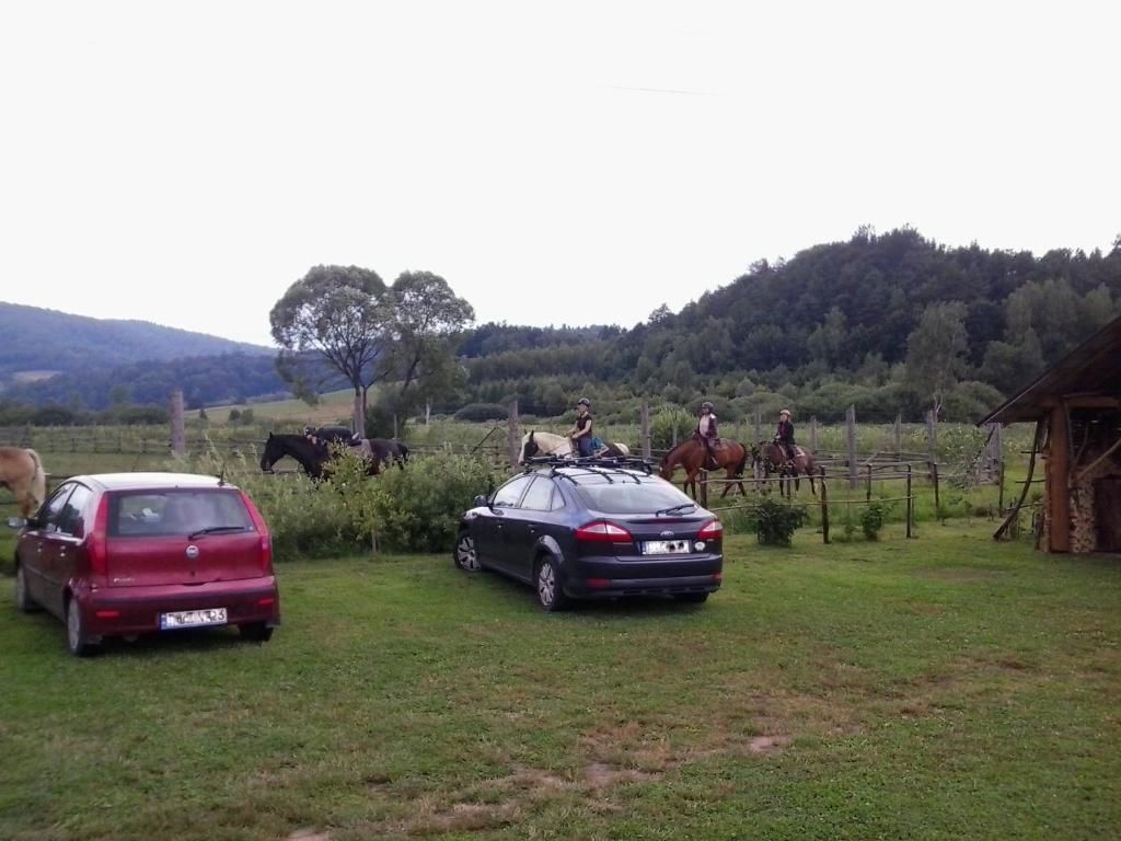 Шале Domki w Bieszczadach Солина-72