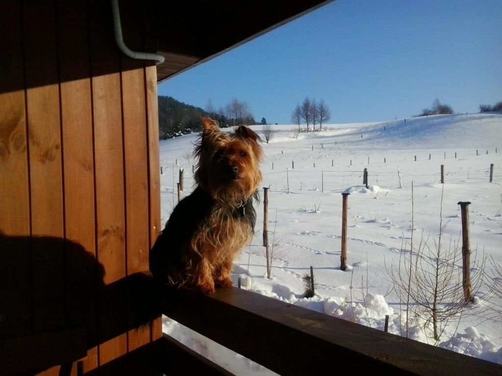 Шале Domki w Bieszczadach Солина-95